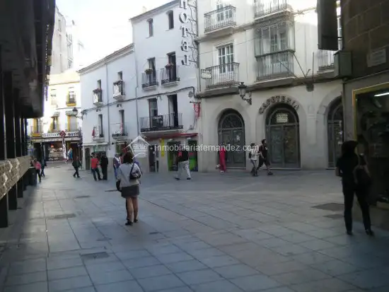 Locale commerciale in vendita a Casco Antiguo, imagen 7
