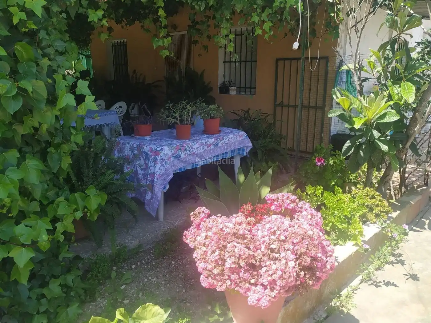 Rustikales Grundstück zum Verkauf in Camino de los Corrales 64, imagen 5