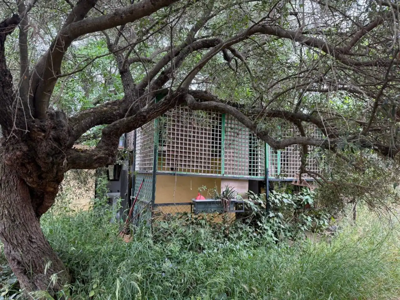 Chalet con jardín en venta en Urbanizacion Tres Palmeras, imagen 3