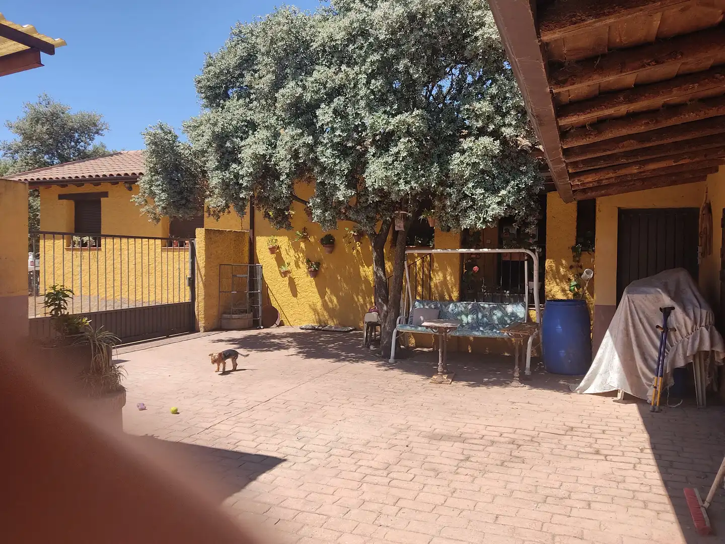 Jardí de Finca rústica en venda en Málaga del Fresno