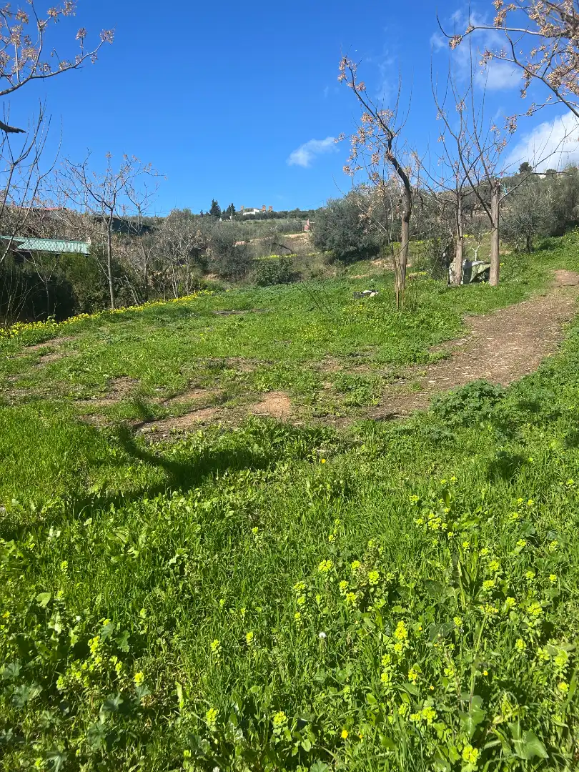 Wohnbaugrundstück zum Verkauf in Calle Venta Baja, imagen 4