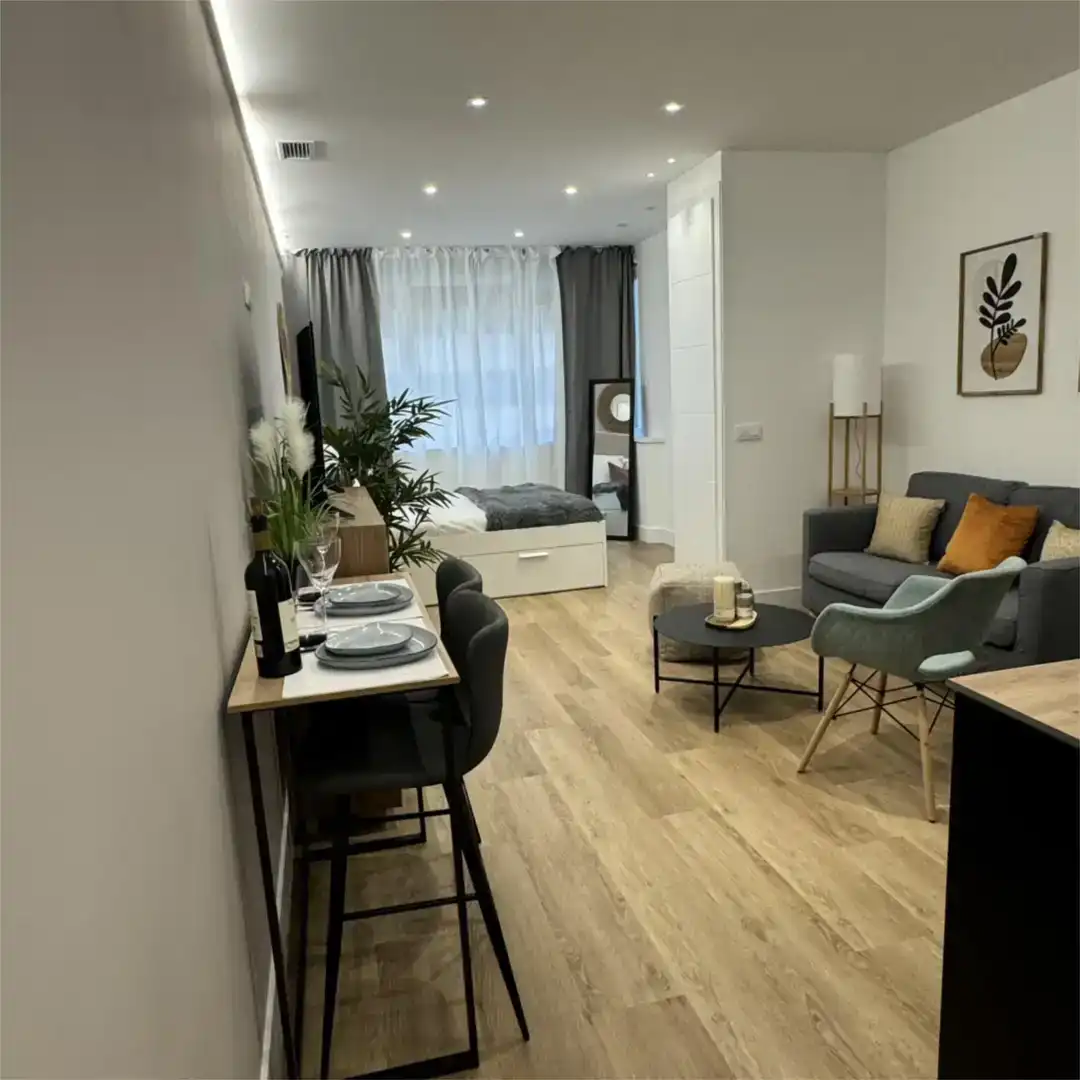Sala d'estar de Estudi de lloguer en Madrid amb Aire condicionat, Moblat i Forn