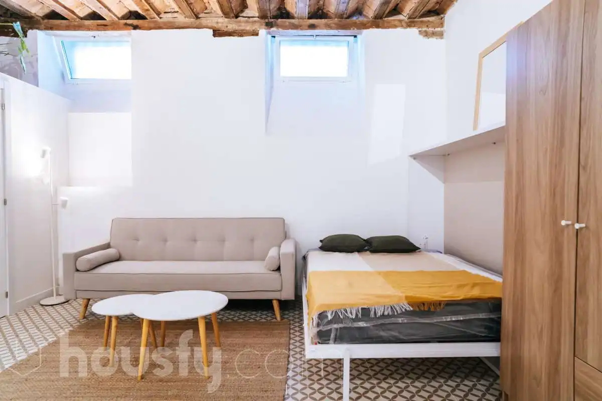 Sala de estar de Estudio de alquiler en Madrid con Amueblado