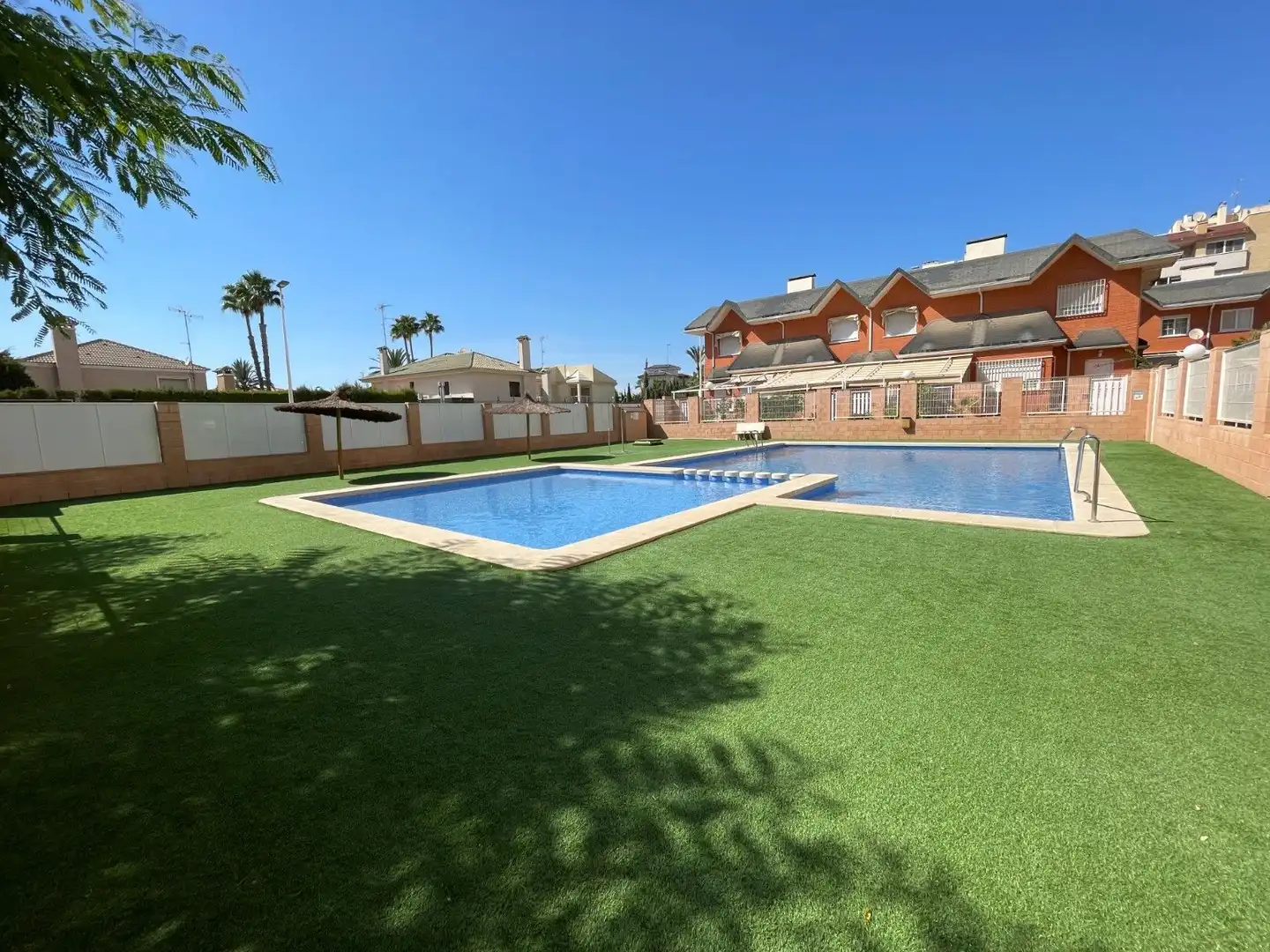 Swimming pool of Detached homes for sale in Elche / Elx