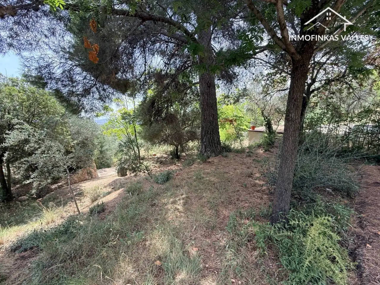 Casa rústica amb piscina en venda a Calle Camino de Can Quintanes, imagen 63