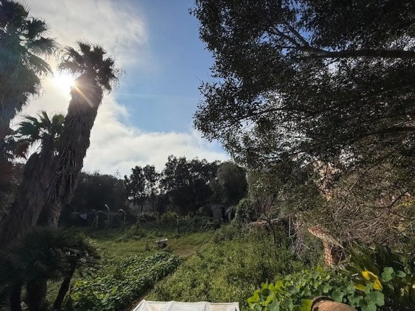 Maison rustique avec terrasse à vendre à Ciutadella, imagen 26
