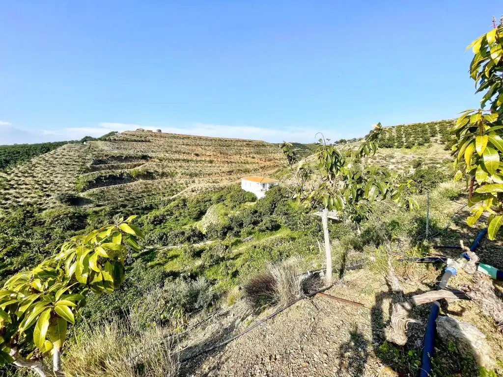 Casa rústica amb jardí en venda a Vélez-Málaga ciudad, imagen 28