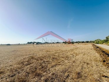 Terreno rústico en venta en El Palmar