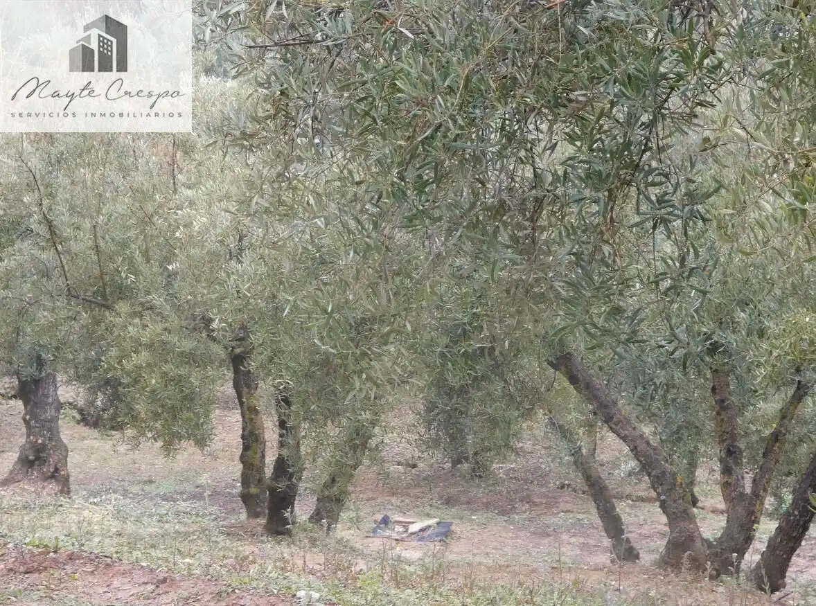 Terreni e lotti in vendita a Peligros, imagen 10