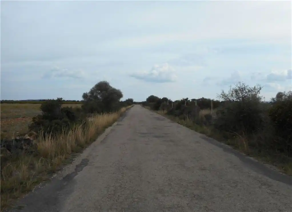 Terreny rústic en venda a MAS DE CABANES, imagen 4