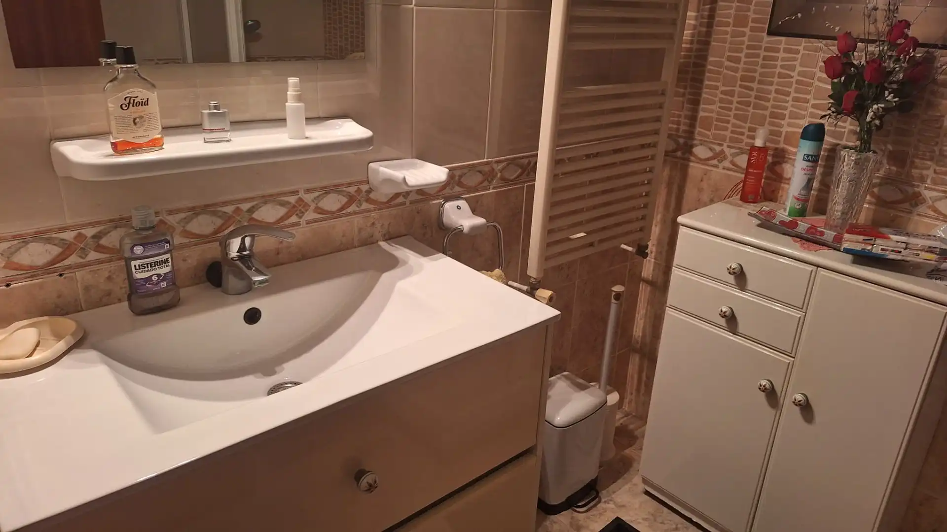 Detached homes for sale in Marítima Nord