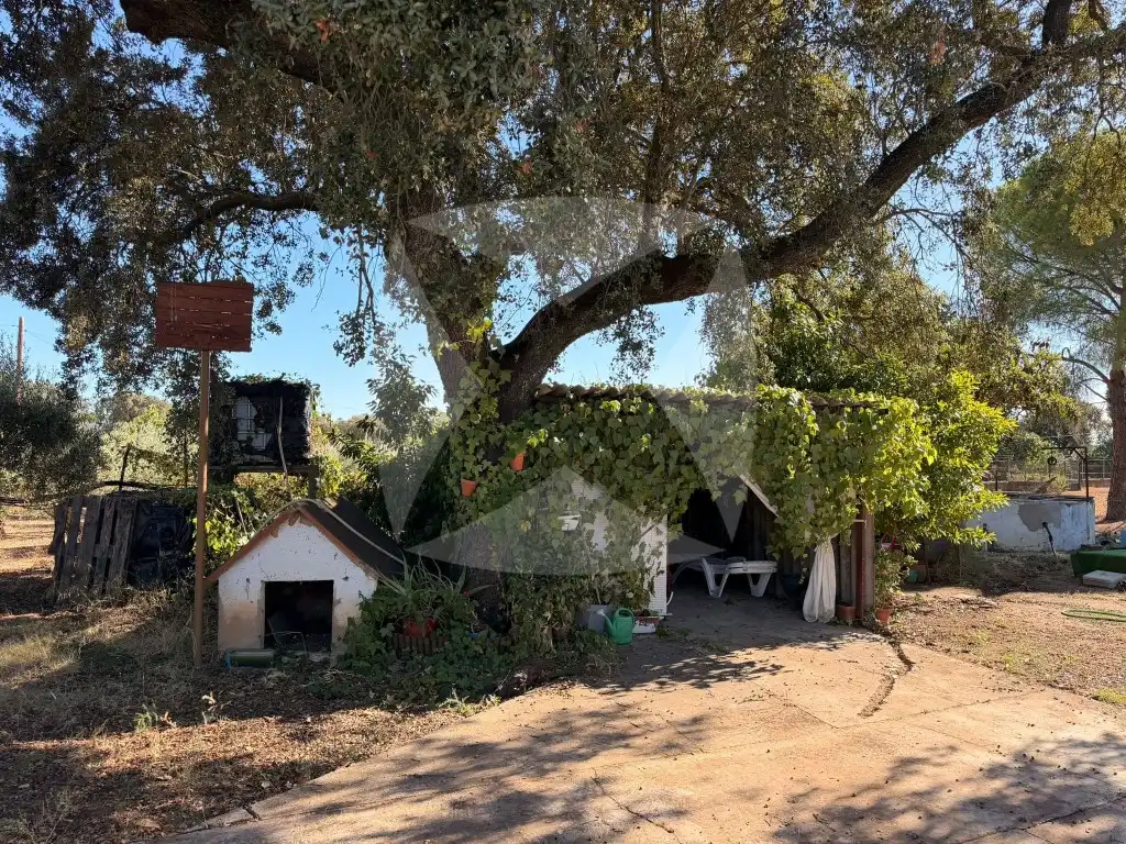 Jardí de Residencial en venda en Badajoz