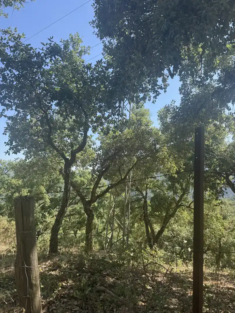 Finca rústica en venda en Benalauría amb Piscina i Balcó