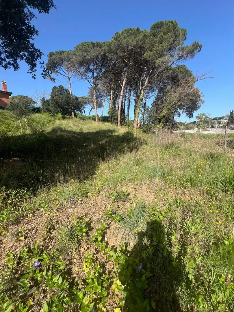 Grundstücke und Bauplätze zum Verkauf in Niàgara Parc - Àgora Parc, imagen 2