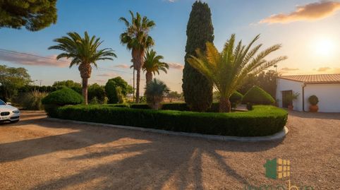 Photo 4 of Country homes for sale in Entrerríos, Villanueva de la Serena, Badajoz