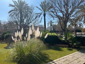Vista exterior de Apartament en venda en Sitges amb Aire condicionat i Terrassa