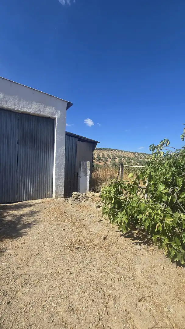 Terrain rustique à vendre à Las Vegas - Campoaras, imagen 13
