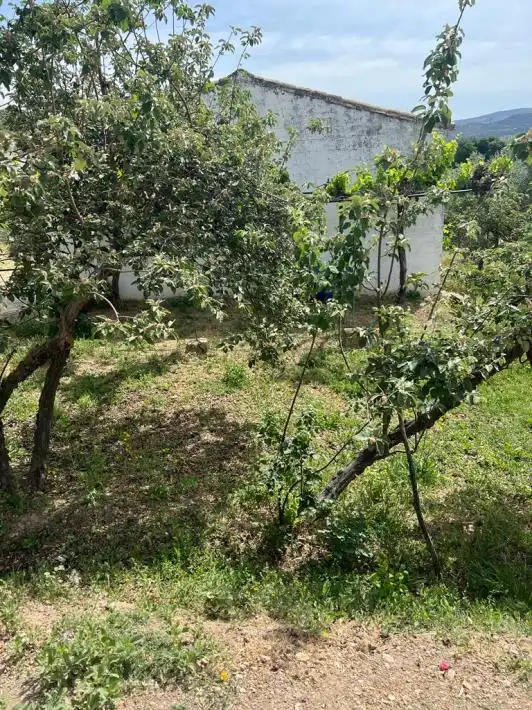 Terreny rústic en venda a Priego de Córdoba