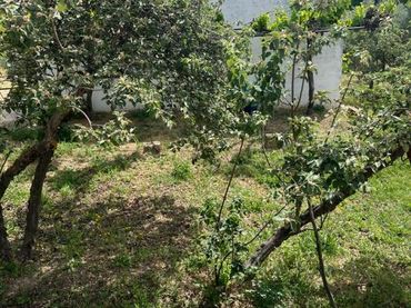 Terreno rustico in vendita a Priego de Córdoba