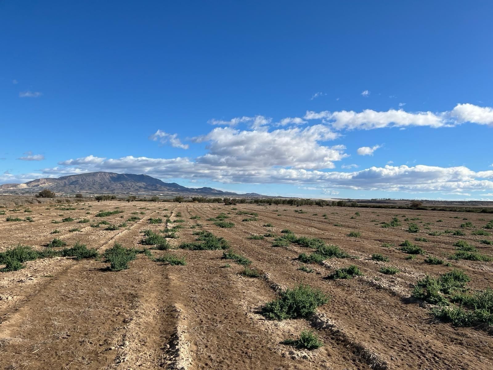 Land for sale in Alhama de Murcia