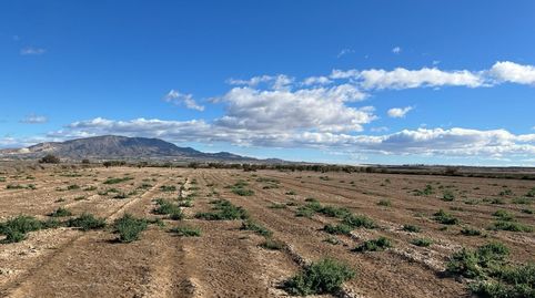 Terreno Rústico  Paraje de la Alcanara, Alhama