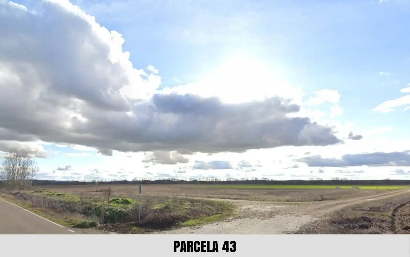 Terreno en venta en Palacios de Riopisuerga
