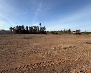 Land for sale in Elche / Elx