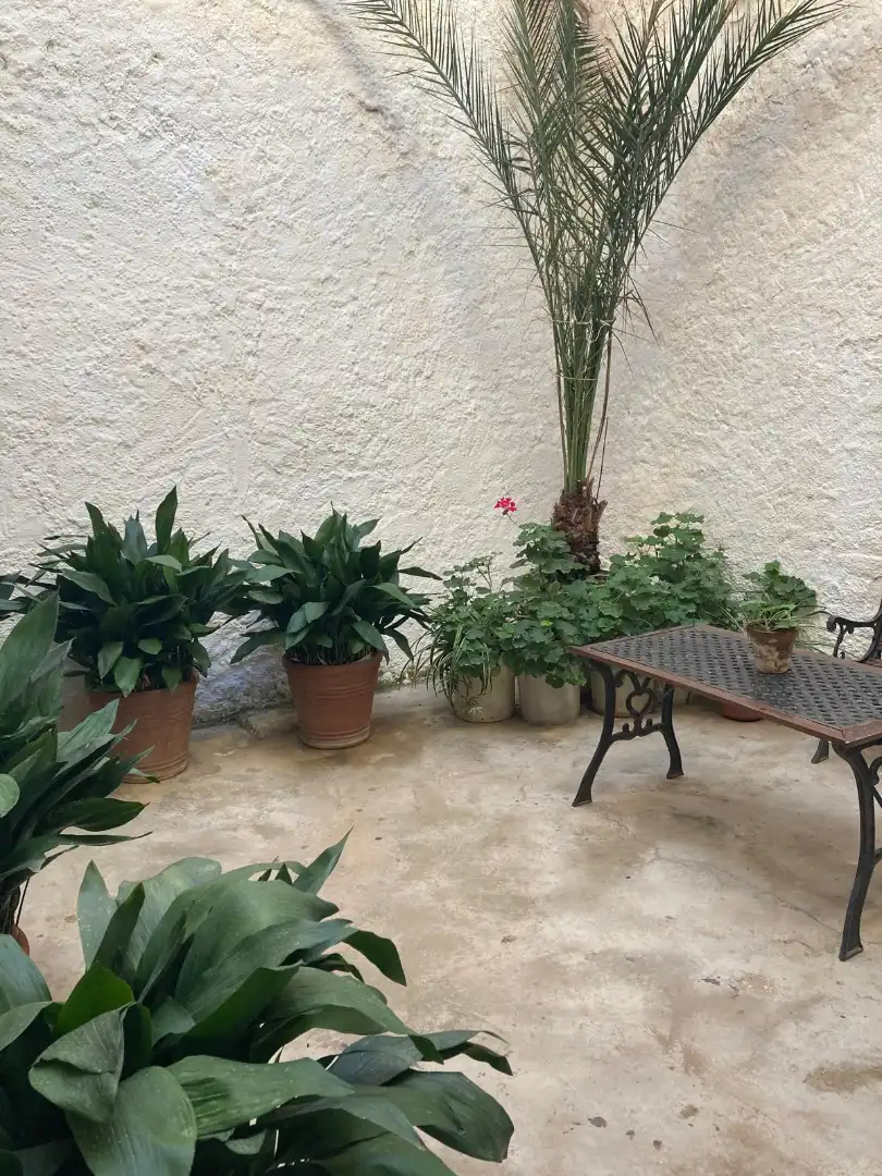 Terrassa de Casa o xalet en venda en Guadix amb Terrassa, Moblat i Balcó