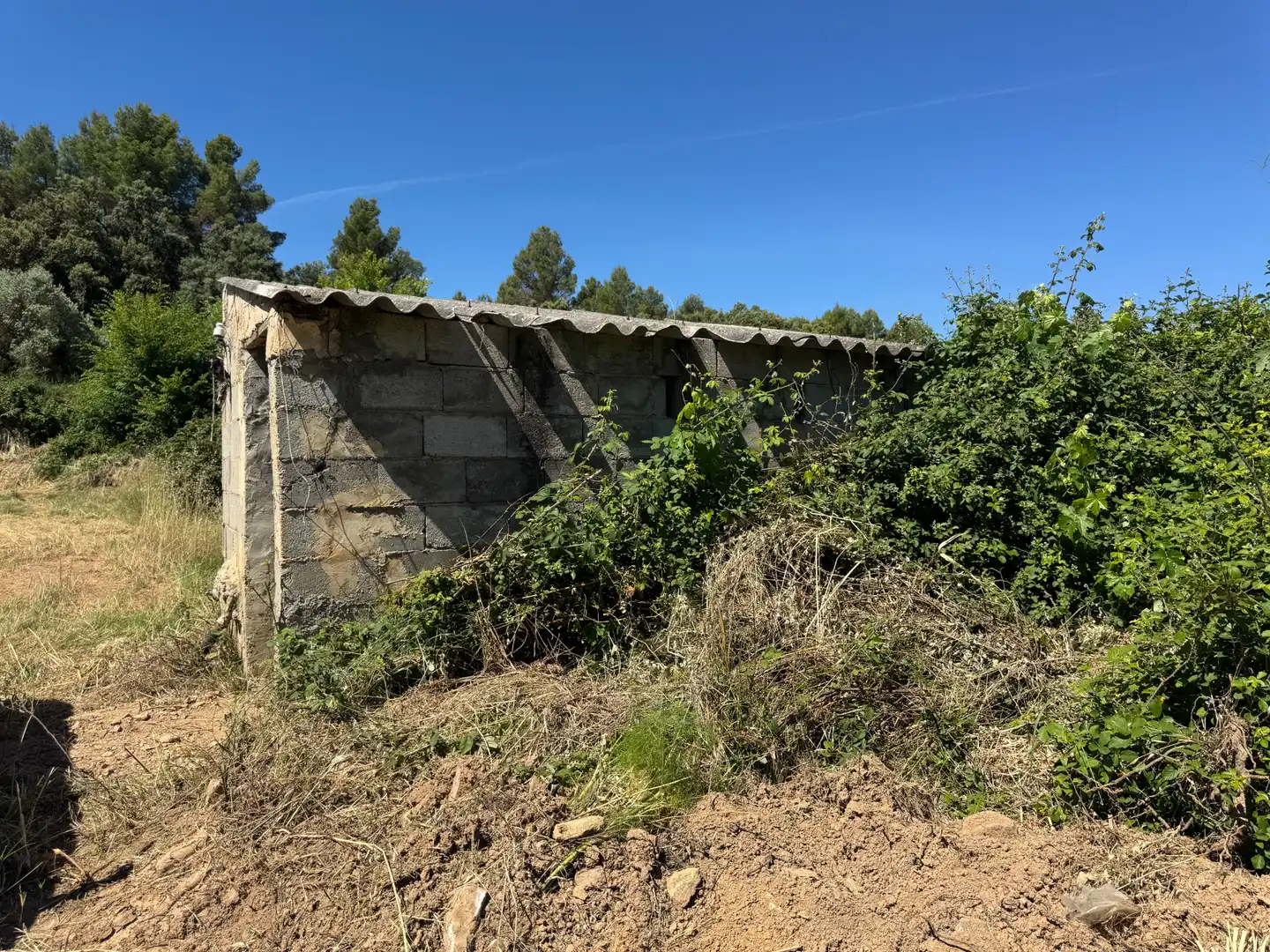 Terreno rustico in vendita a Avenida Virgen de Gracia 17B, imagen 5