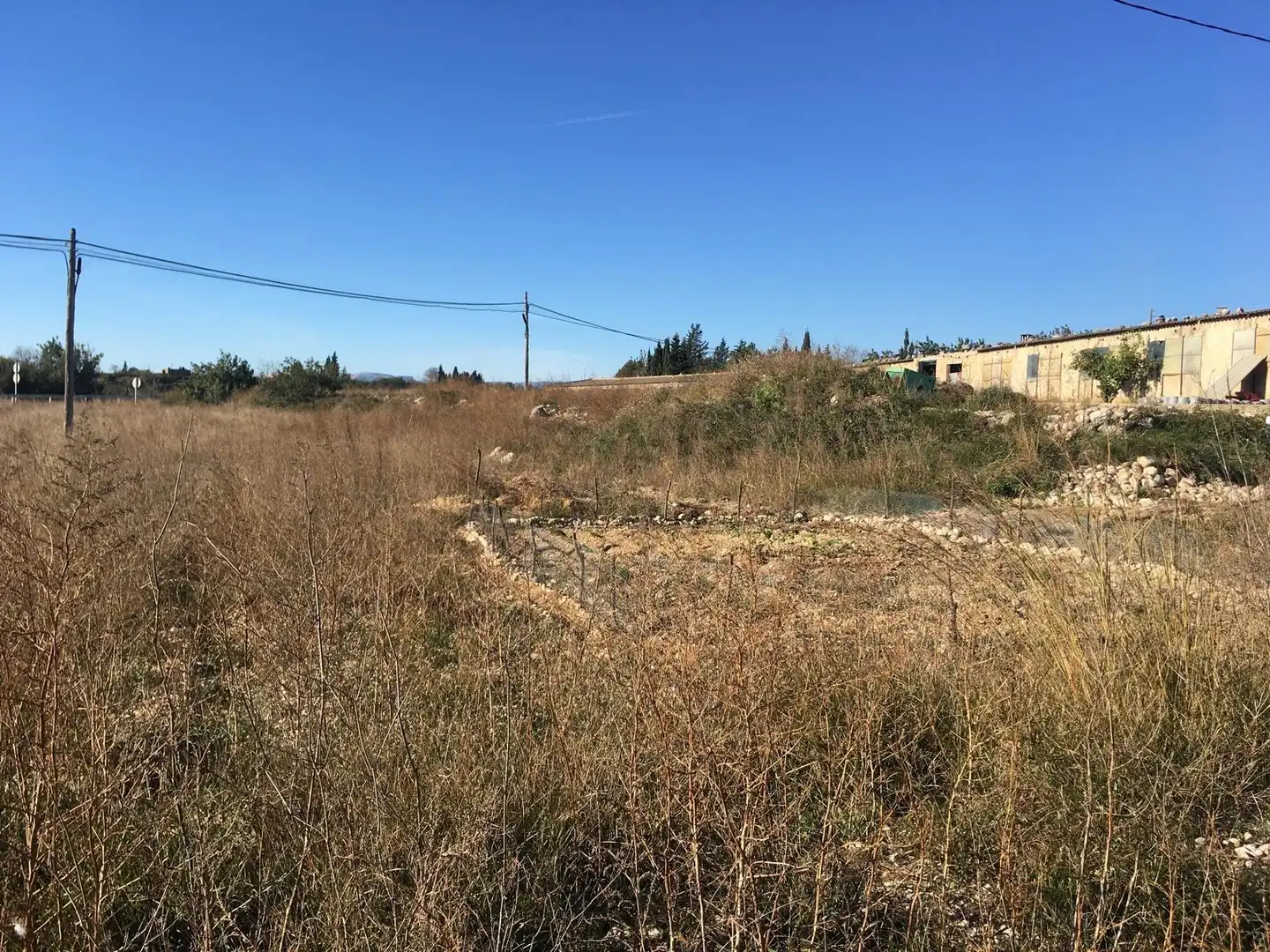 Terreny rústic en venda a Ulldecona, imagen 23