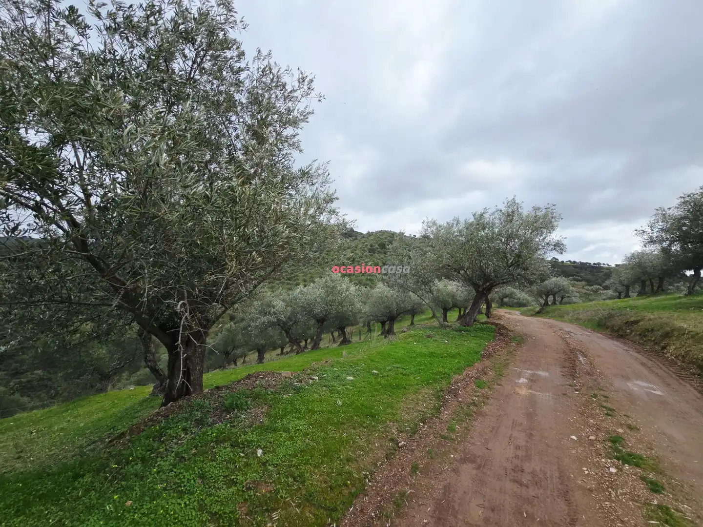 Casa rústica en venta en Pozoblanco, imagen 18