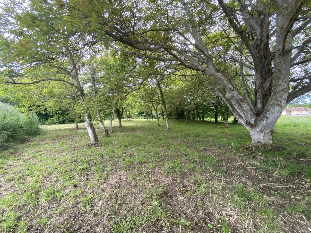 Casa amb jardí en venda a chan da aldea, imagen 17
