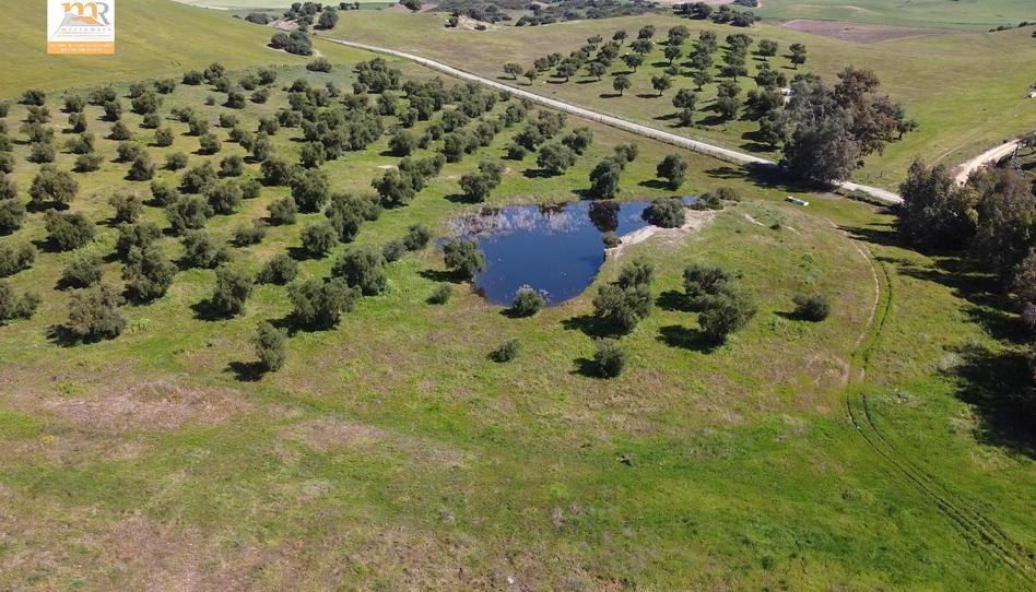 Photo 1 of Country house for sale in  Zona de Cadiz, Astilleros - La Paz  - Loreto - El Corte Inglés, Cádiz