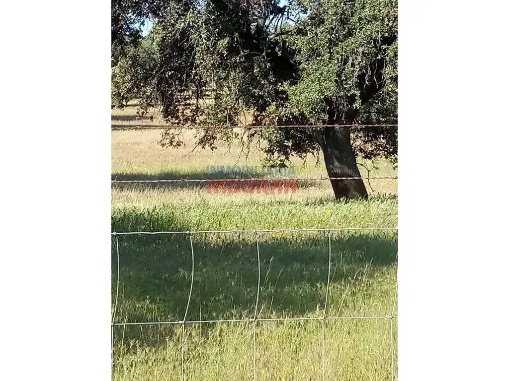 Finca rústica en venda en Alcolea de Tajo