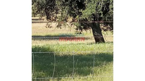 Photo 4 of House or chalet for sale in Alcolea de Tajo, Toledo