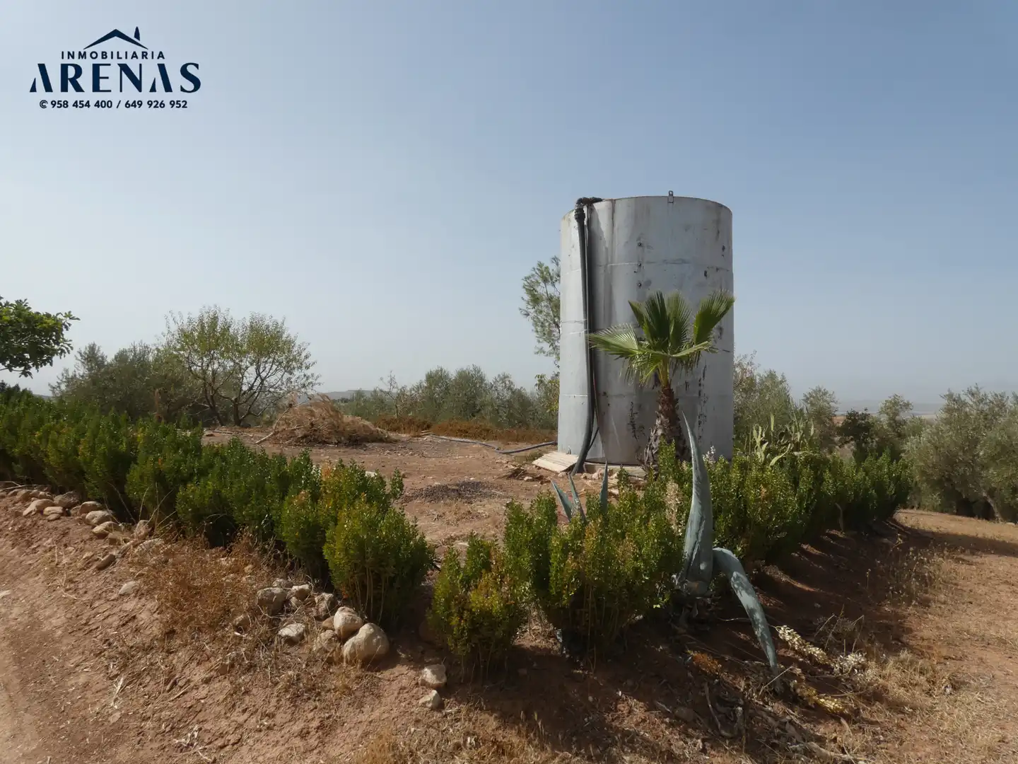 Terreni e lotti in vendita a Cogollos de la Vega