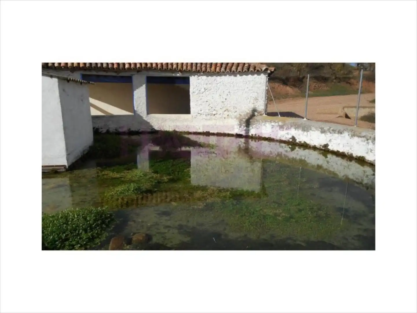 Garten von Grundstücke zur Miete in Clarés de Ribota