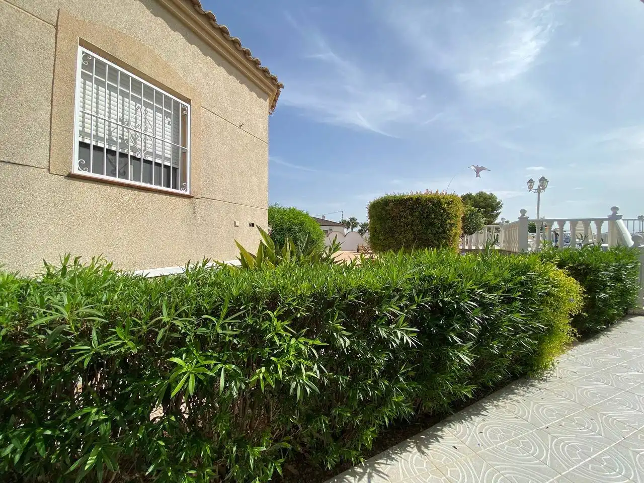 Villa con piscina in vendita a Catral, imagen 14