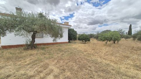 Foto 3 de Casa o chalet en venta en Las Vaguadas, Badajoz Capital