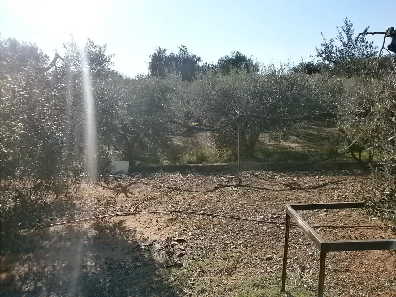 Rural land for sale in Vinyols i els Arcs, imagen 20