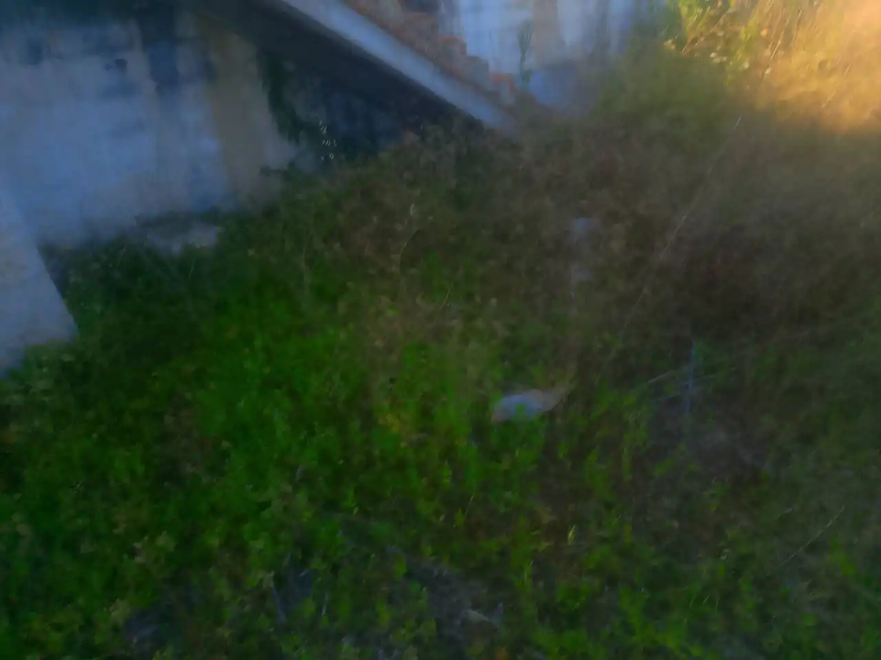 Casa con jardín en venta en Camino Segon de Lera de Forn 45, imagen 21