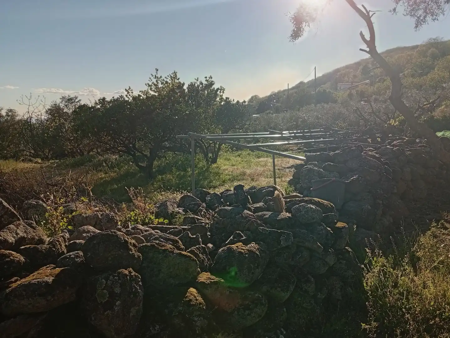 Terreno en venta en Valverde de la Vera