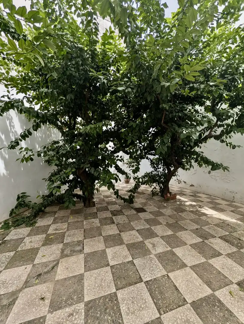 Flat for sale in Relator, imagen 12