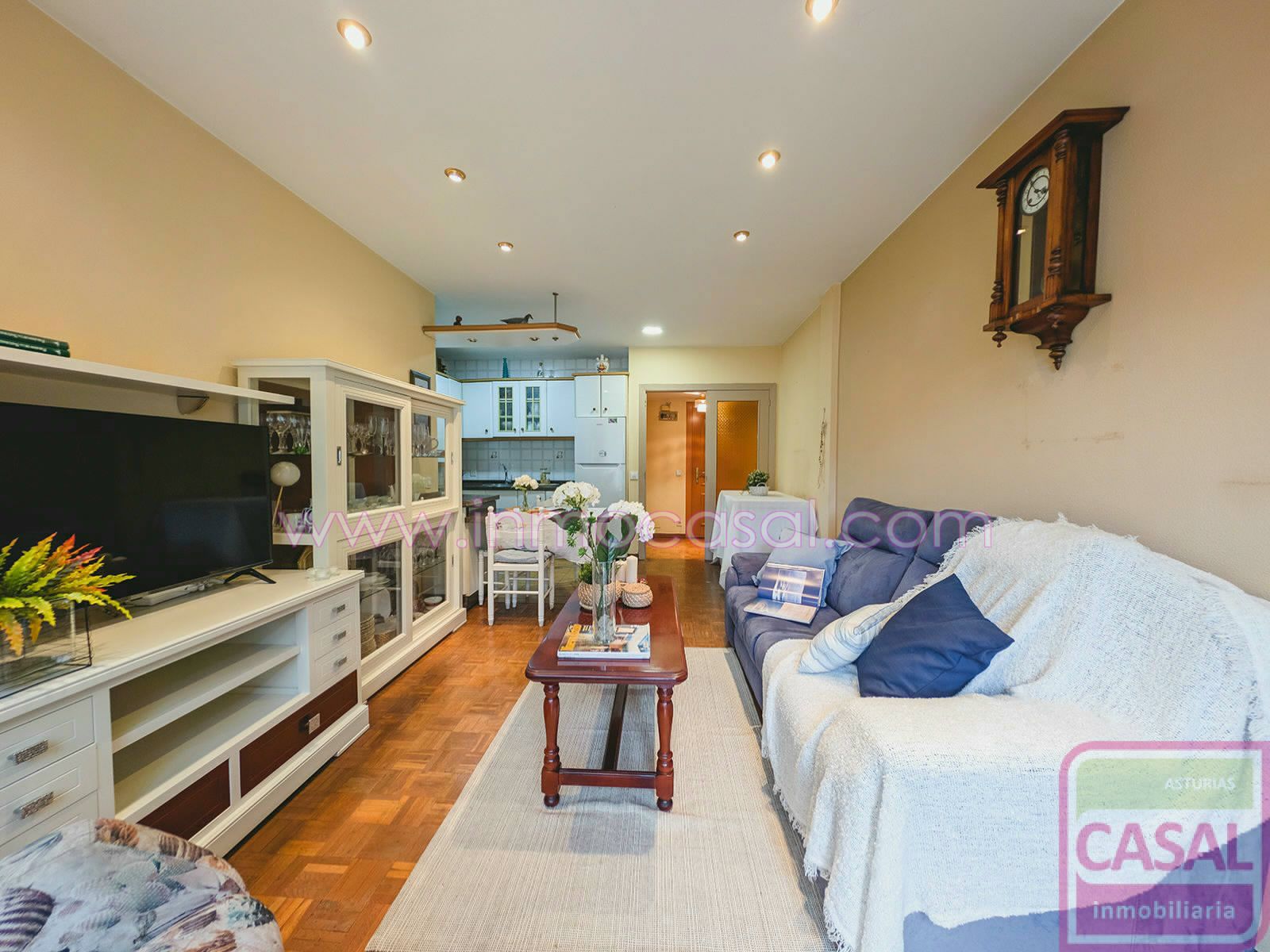 Living room of Flat for sale in Mieres (Asturias)  with Heating, Terrace and Furnished