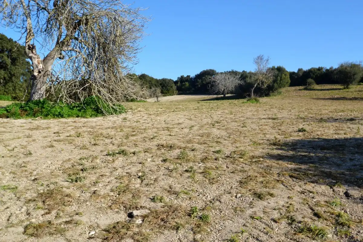 Casa rústica en venta en Llubí, imagen 15