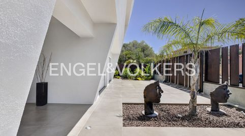 Obra maestra de la Arquitectura Sostenible con Vistas Panorámicas de Sevilla, imatge 4