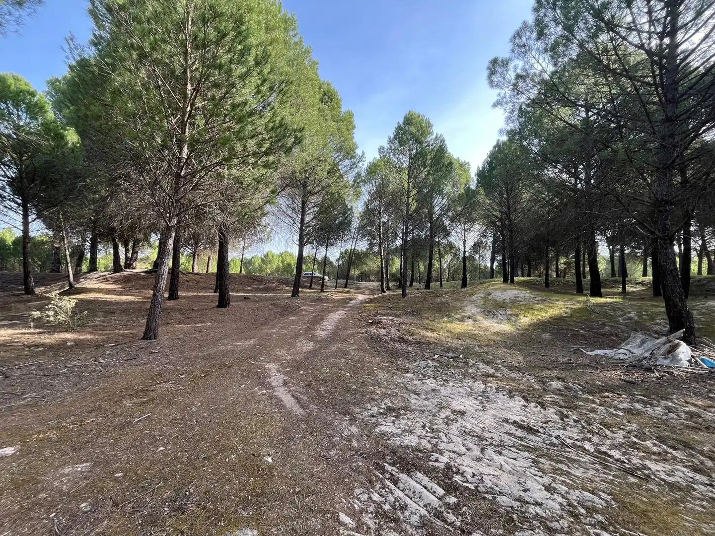 Terreno en venta en Tudela de Duero