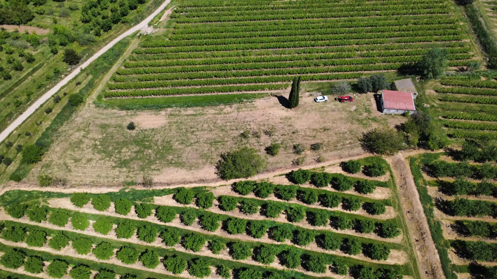 Terreno en venta en Les Borges Blanques