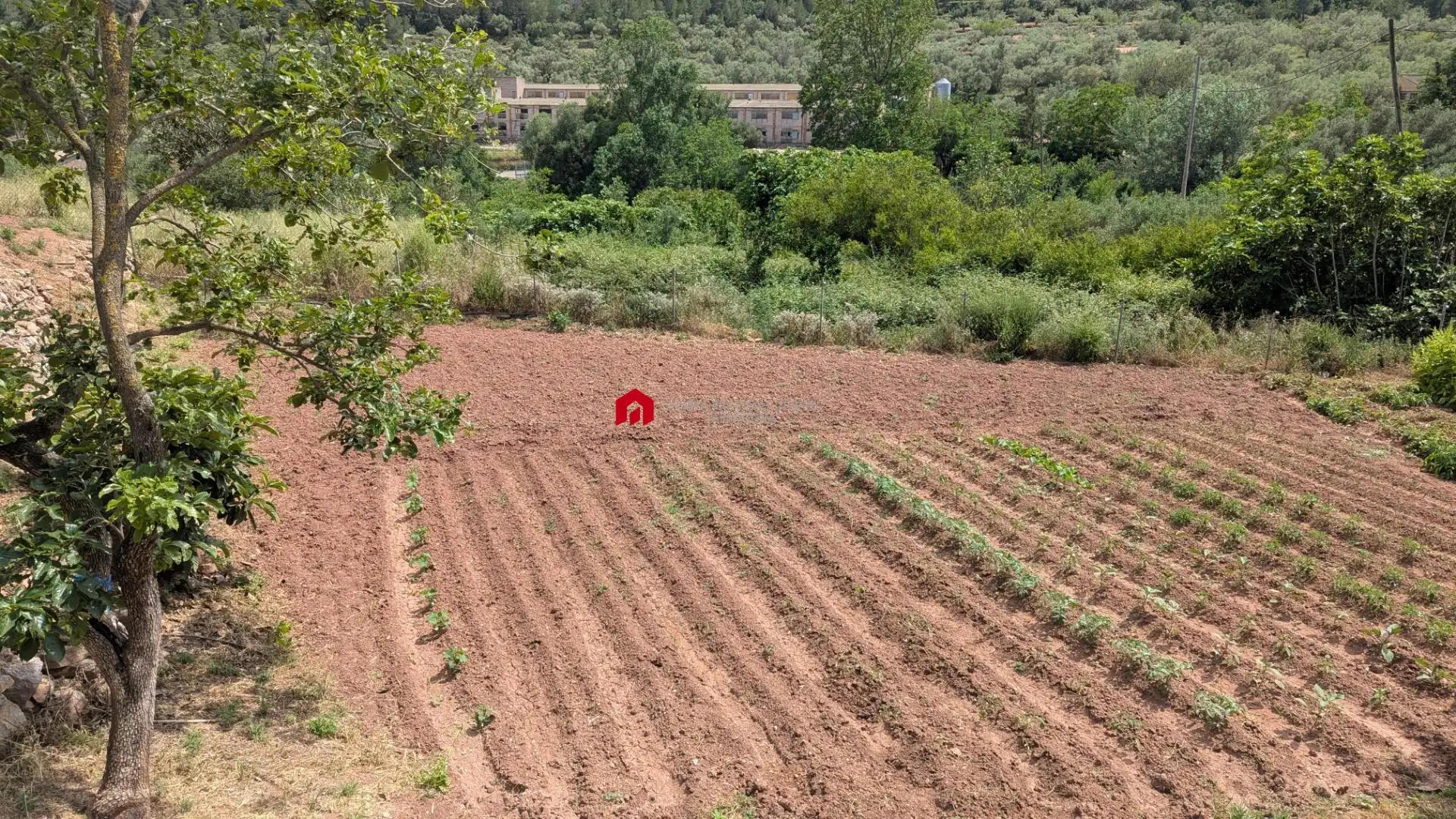 Grundstücke zum Verkauf in Alfara de Carles