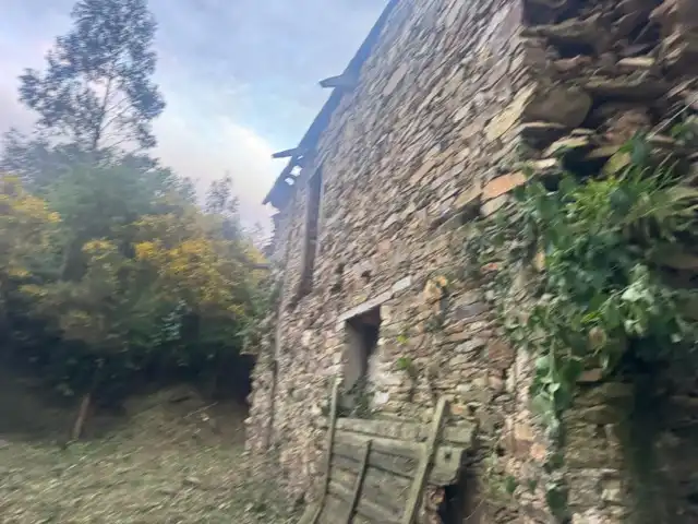 Vista exterior de Finca rústica en venta en Vegadeo